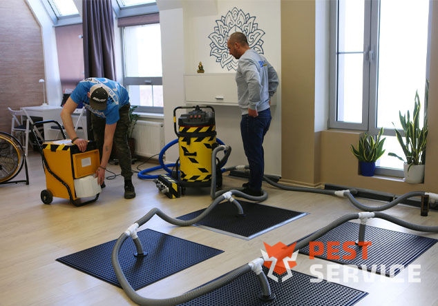 Профессиональная сушка после потопа в Выборге от 3000 руб. Быстро устраняем влагу, предотвращаем плесень и повреждения. Современное оборудование и опытные специалисты. Безопасно и эффективно.